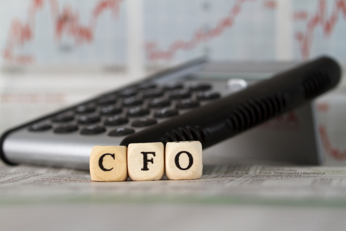 Virtual CFO Services