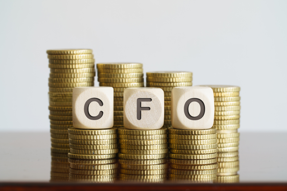 Virtual CFO Services
